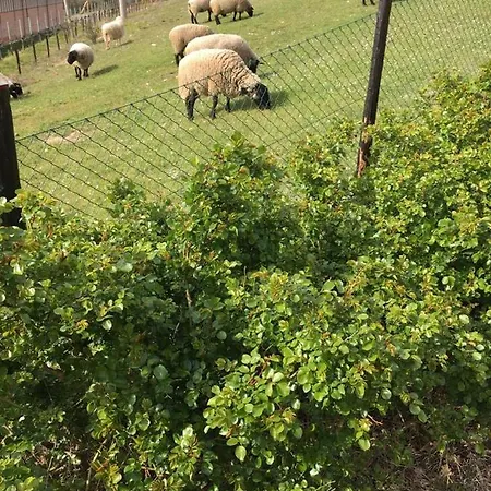 Agriturismo Gasperini Lejlighed Giano dellʼUmbria
