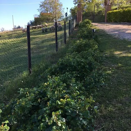 公寓 Agriturismo Gasperini 翁布里亚区贾诺